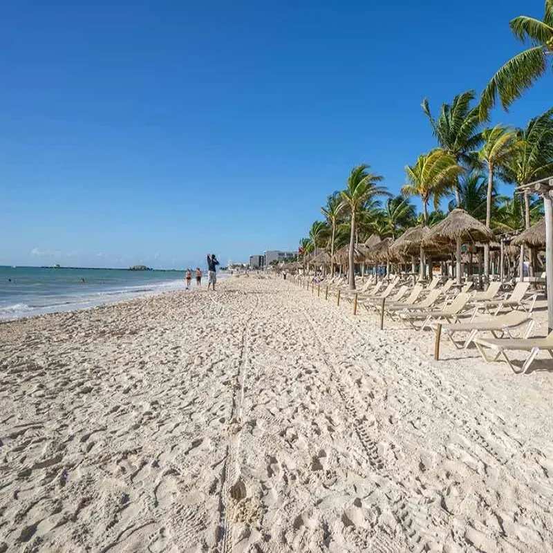 Travelfy - Playa Mamitas